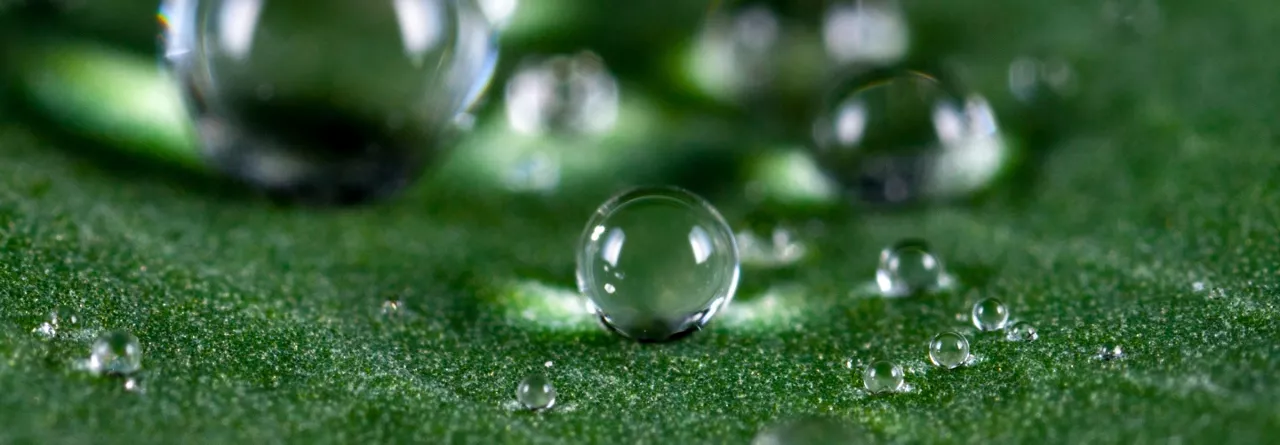 Water Droplets