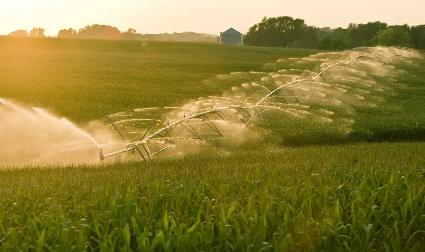 Watering Fields