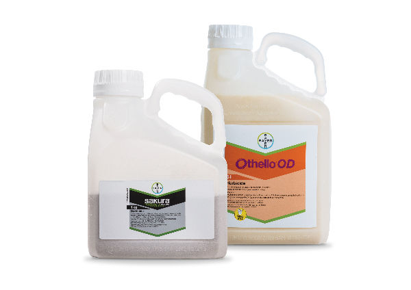 Weed Control in Cereals 7