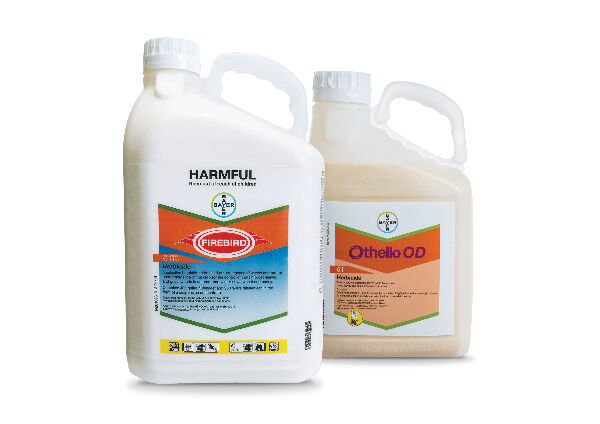 Weed Control in Cereals 8