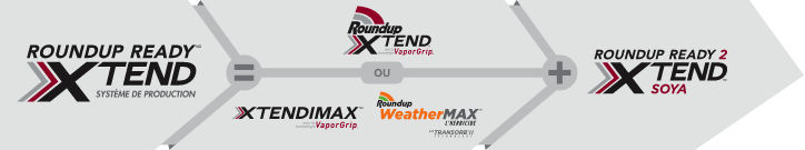 Graphique montrant l'ordre d'utilisation des différents produits composant le système de production Roundup Ready Xtend.  