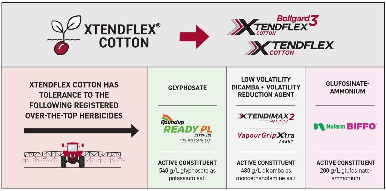 XtendFlex Diagram