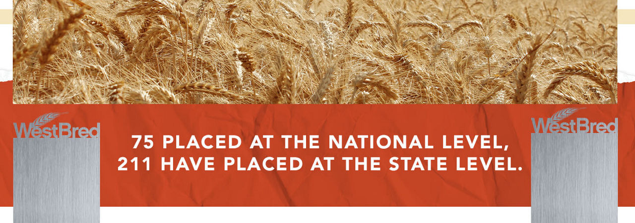 Banner showing national and state-level yield contest placements