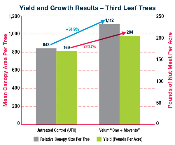 Chart showing yield and growth results for almond trees treated with Velum One and Movento compared to untreated