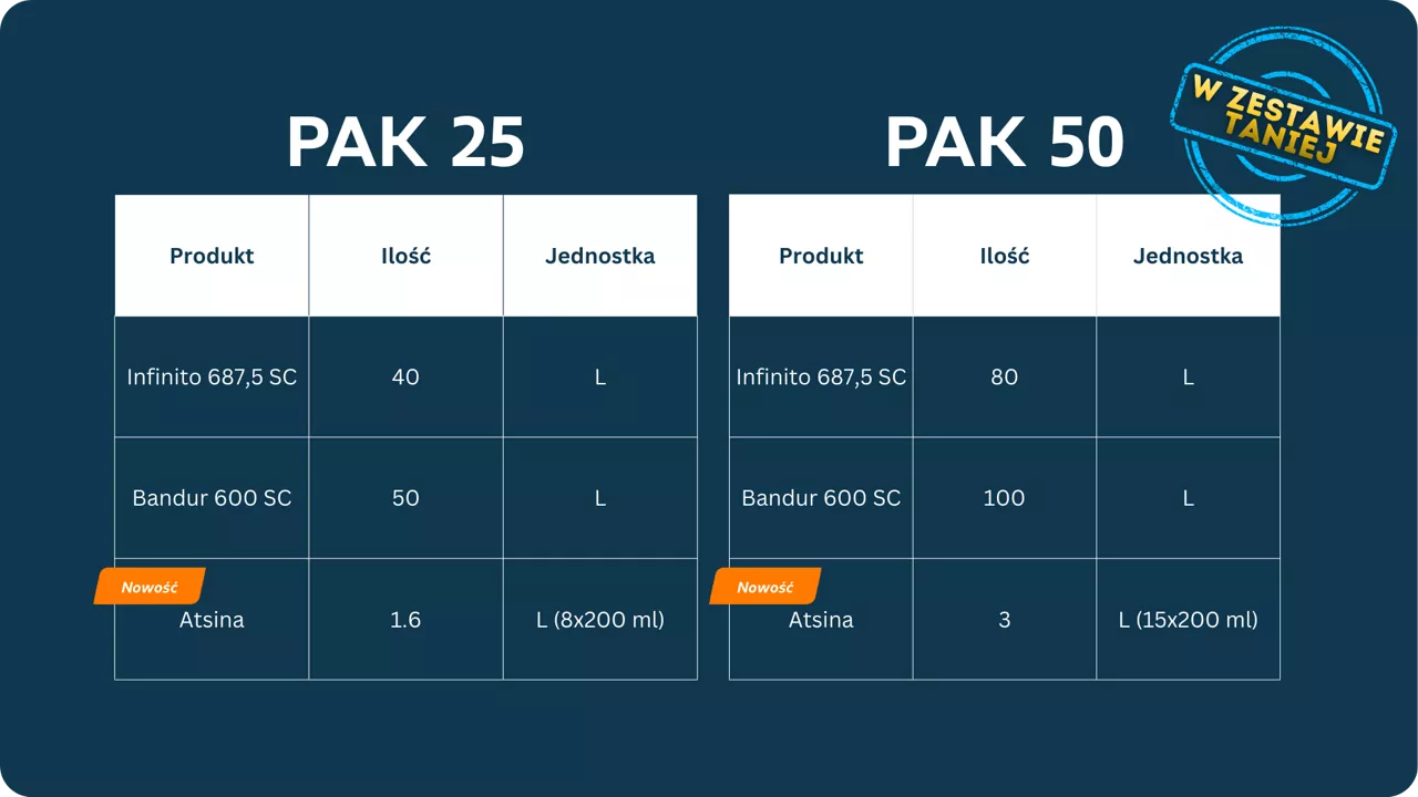 oferta promocyjna - tabela paków