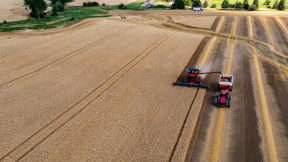 A large field with a combine cutting the brown crop plant, and the cuttings being conveyed into a tractor trailer at its side. 