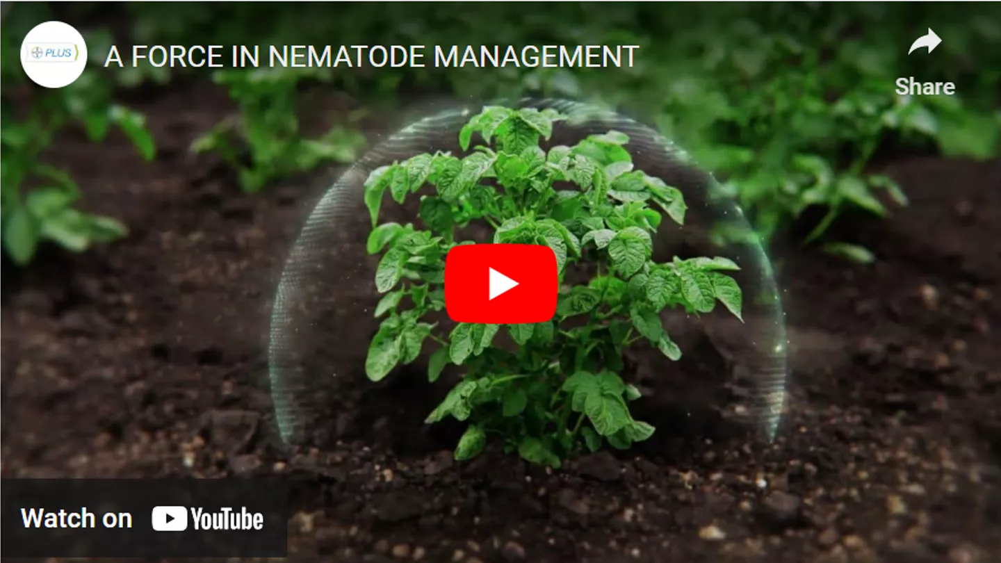 A Force in Controlling Nematodes