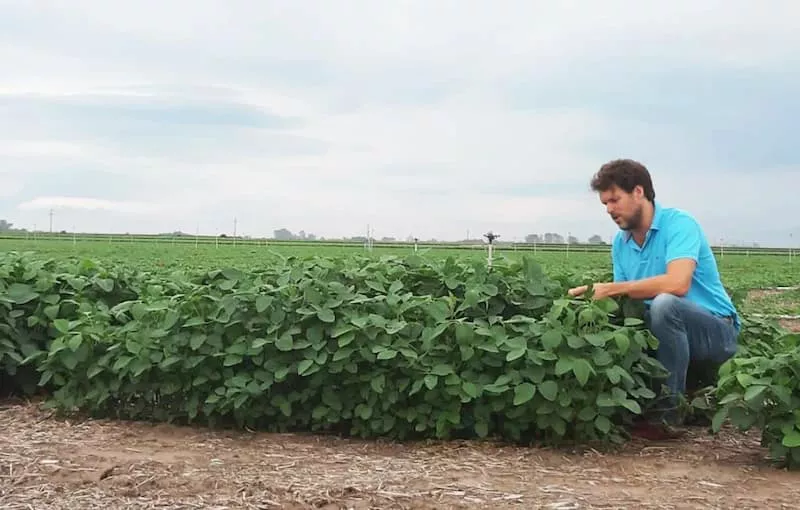 Fernando Solari, líder da área de Ciência de Climate Corporation para a América Latina
