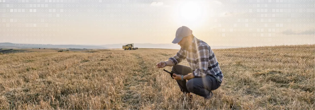 Farmer checking their fields