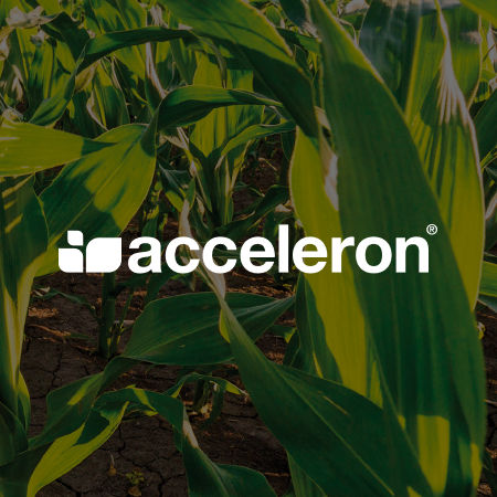 acceleron-la-concia-che-promuove-la-crescita_Rich_Text_Editor_2.jpg