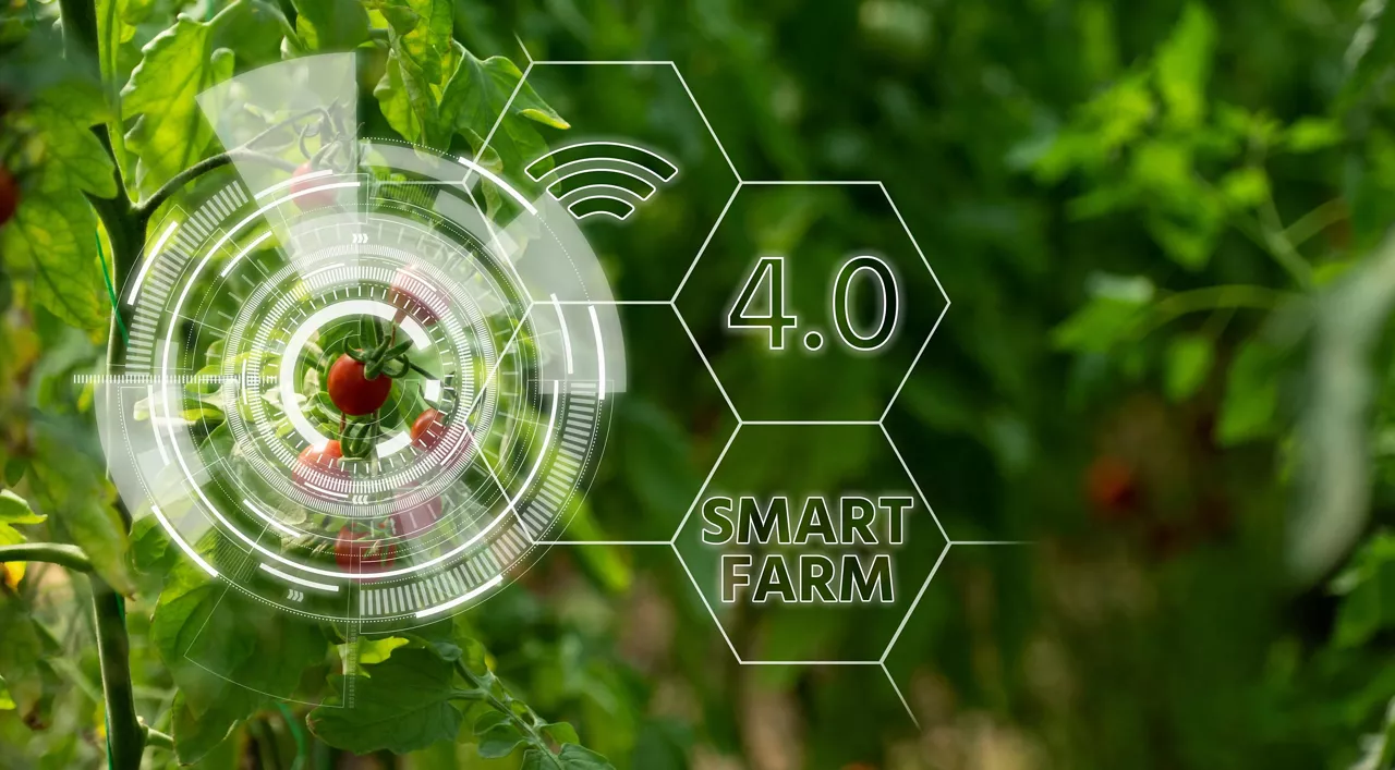 alguém segurando um celular com uma planta saindo dele, ilustrando o conceito de agricultura 4.0