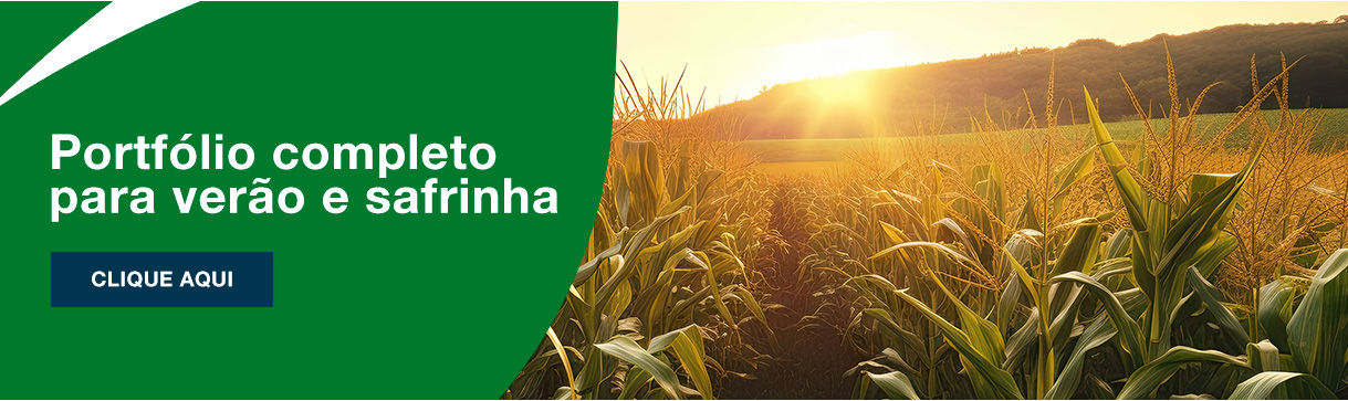 Portfólio completo para verão e safrinha