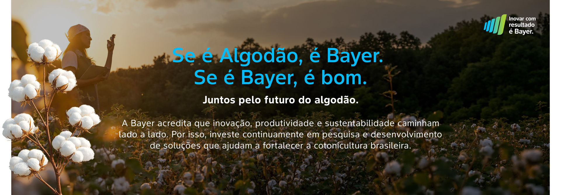 algodao-banner1.jpg