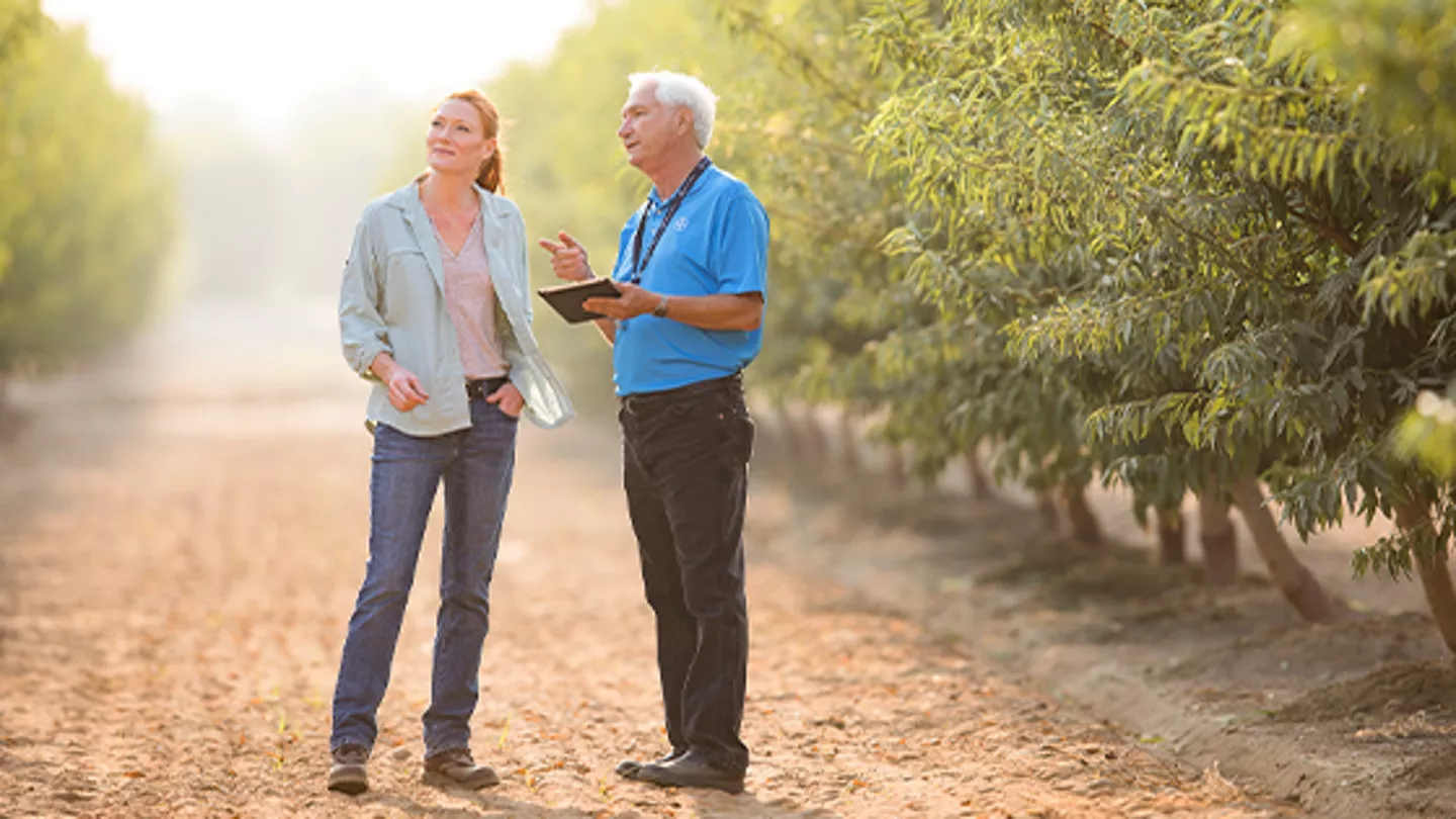 Unseen Dangers: Nematode Pressures on Young Almond Trees