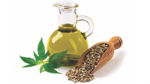 Hemp seed oil in a glass oil dispenser, with hemp leaves and a wooden scoop of hemp seeds laying alongside