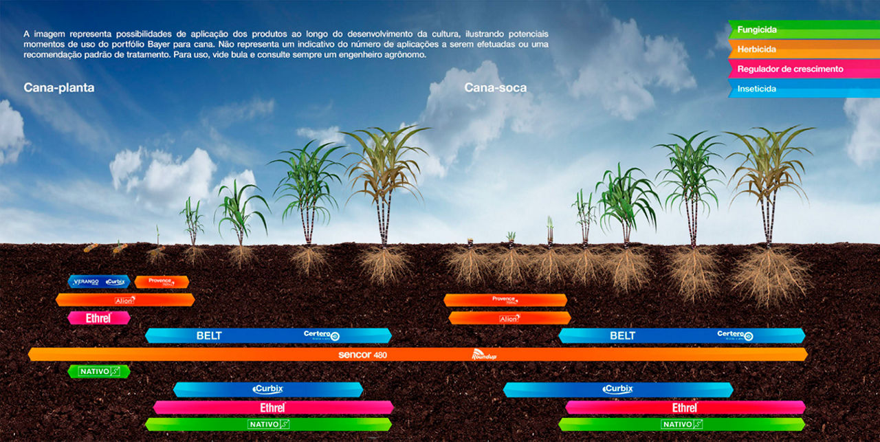 A imagem representa possibilidades de aplicação dos produtos ao longo do desenvolvimento da cultura, ilustrando potenciais momentos de uso do portfólio Bayer para cana. Não representa um indicativo do número de aplicações a serem efetuadas ou uma recomendação padrão de tratamento. Para uso, vide bula e consulte sempre um engenheiro agrônomo.