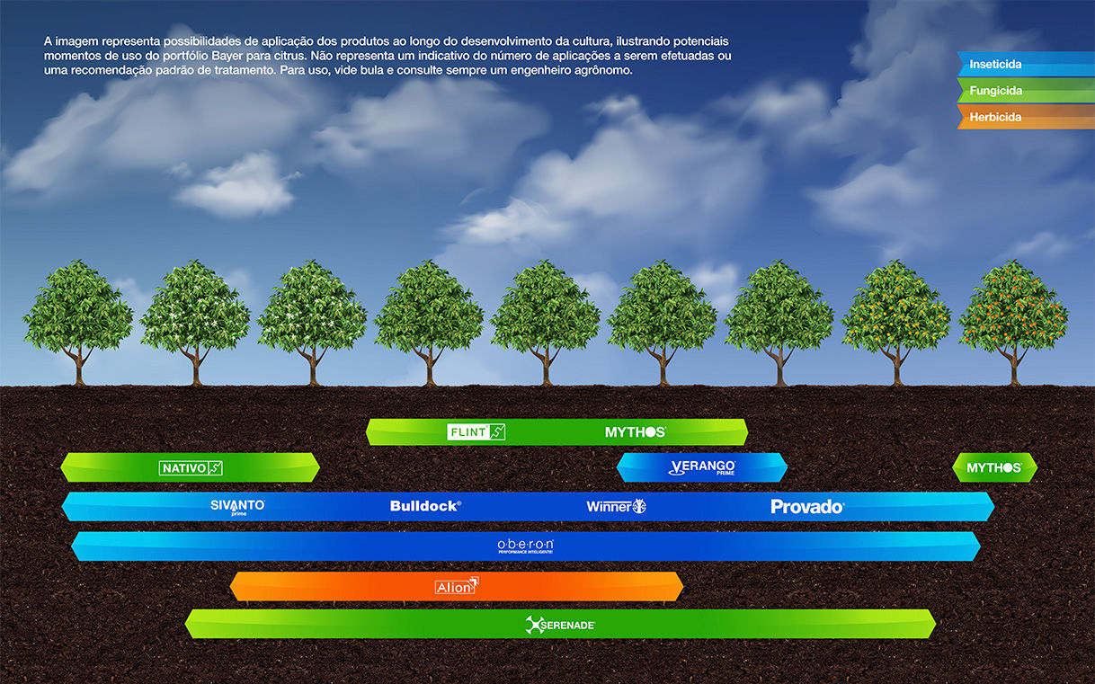 A imagem representa possibilidades de aplicação dos produtos ao longo do desenvolvimento da cultura, ilustrando potenciais momentos de uso do portfólio Bayer para cana. Não representa um indicativo do número de aplicações a serem efetuadas ou uma recomendação padrão de tratamento. Para uso, vide bula e consulte sempre um engenheiro agrônomo.