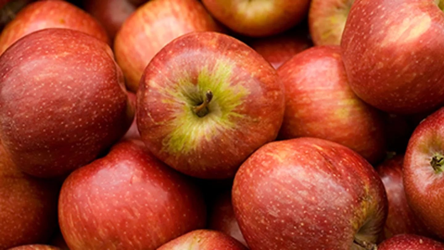Managing Powdery Mildew to Prevent Yield and Quality Losses