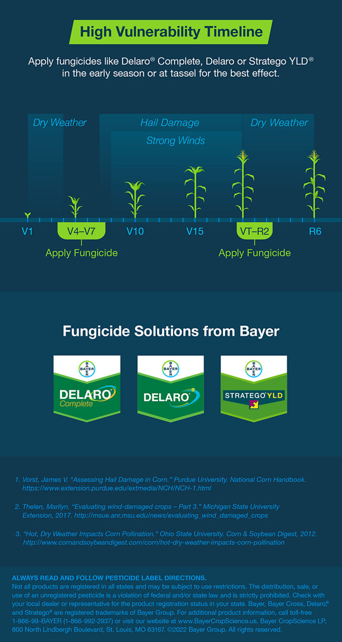 apply-fungicides-like-delaro-or-strategoyld-in-the-early-season-or-at-tassel