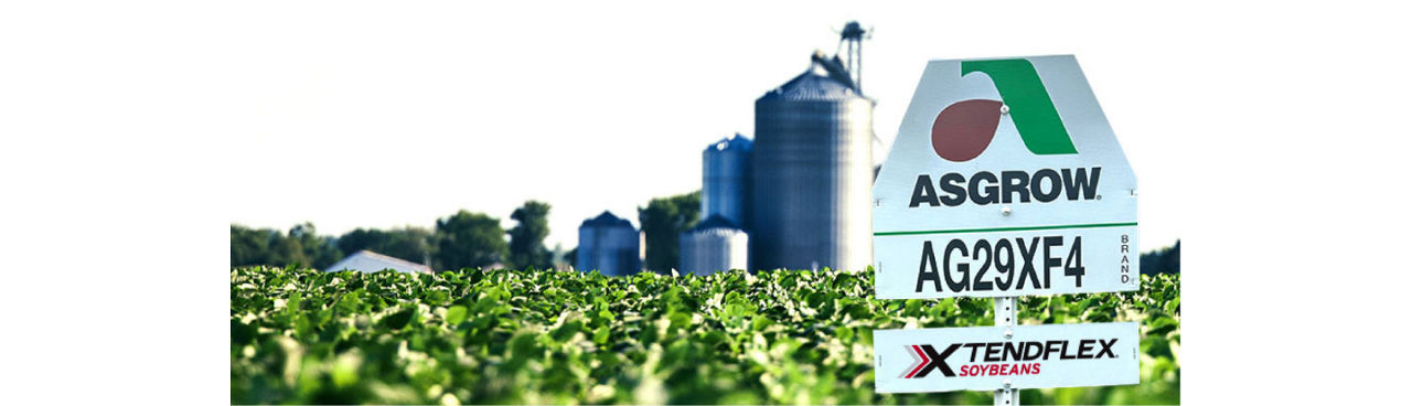 A sign on a field for “Asgrow AG29XF4 XtendFlex Soybeans”