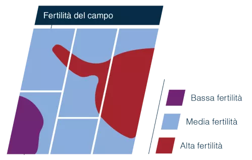 aumenta-il-profitto-ottimizzando-con-noi-la-densita_Rich_Text_Editor_2.png
