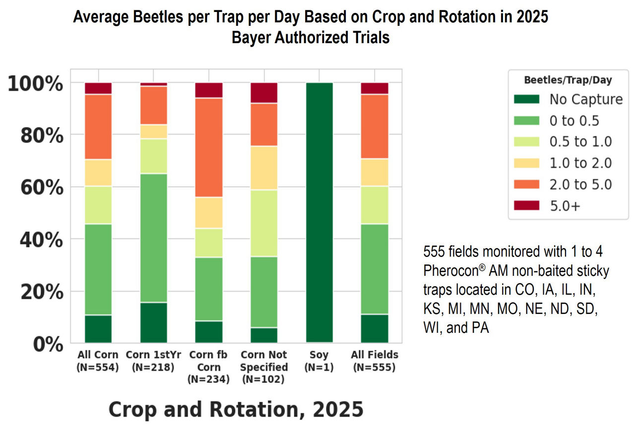 Average corn rootworm beetles per trap per day 2025 Bayer Trials