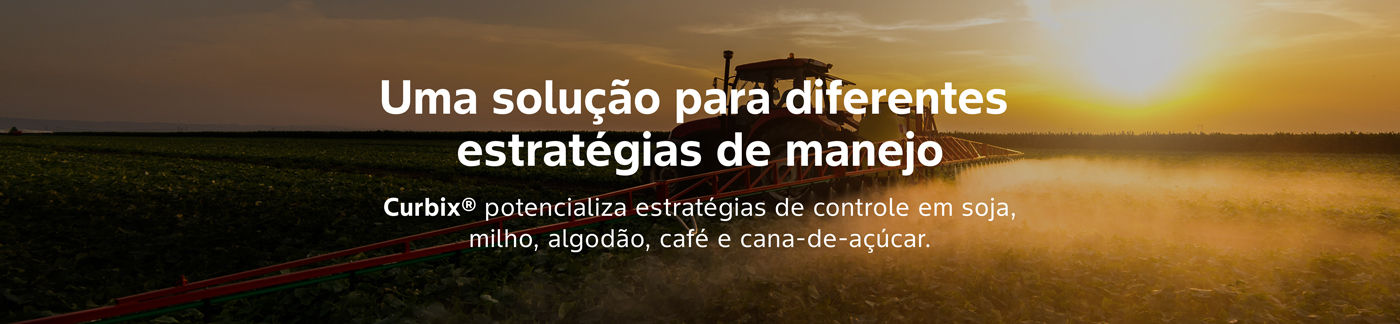 campo ao fundo com mensagem de estratégias de manejo no meio