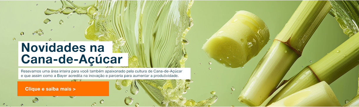 Novidades na Cana-de-Açúcar. Resevamos uma área inteira para você também apaixonado pela cultura de Cana-de-Açúcar e que assim como a Bayer acredita na inovação e parceria para aumentar a produtividade. Saiba Mais.