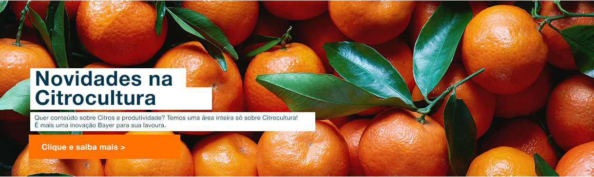Novidades na Citrocultura Quer conteúdo sobre Citros e produtividade? Temos uma área inteira só sobre Citrocultura! é mais uma inovação Bayer para sua lavoura.