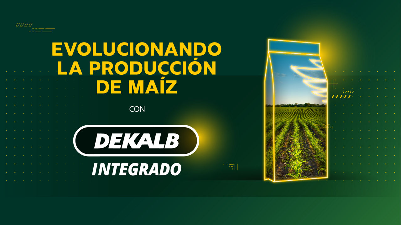 Dekalb Integrado: Tu aliado en cada decisión