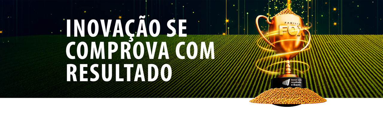 Inovação se comprova com resultado