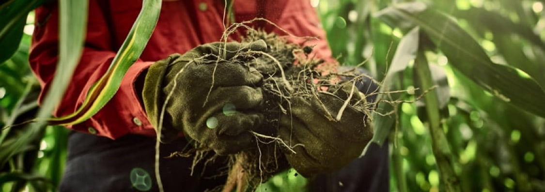 Farmer holding a handful of soil