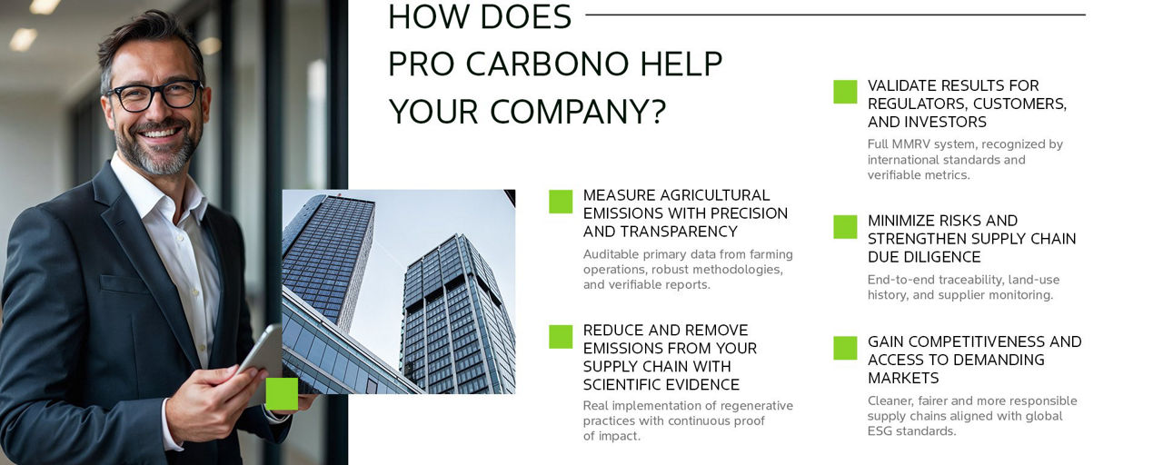 How does PRO Carbono help your company?