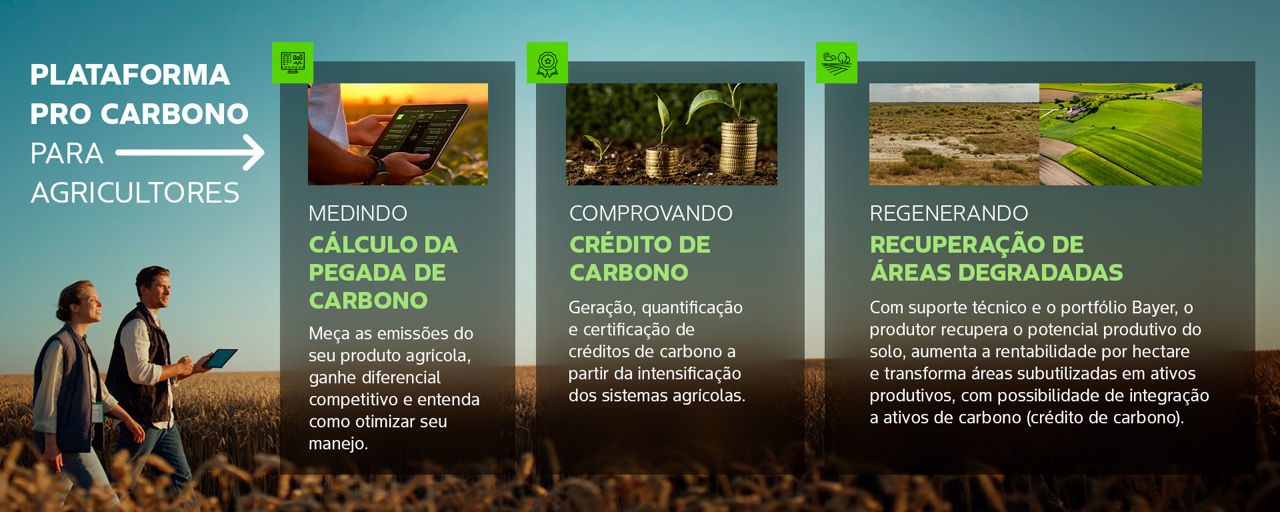 plataforma focada nos agricultores