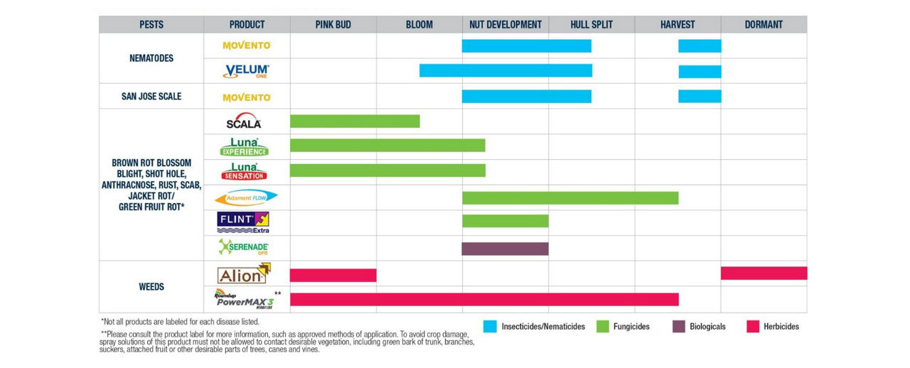 Comprehensive Bayer Crop Science almond application timing chart. Shows recommended windows from Pink Bud to Dormant for products including Movento, Velum, Scala, Luna, Alion, and Roundup across categories for nematodes, scale, diseases, and weeds.