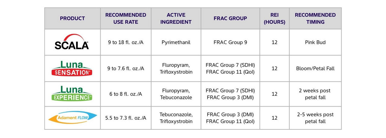 A comparison table for Bayer almond fungicides showing Scala, Luna Sensation, Luna Experience, and Adament FLOW with recommended use rates, active ingredients, FRAC groups, and application timing. 