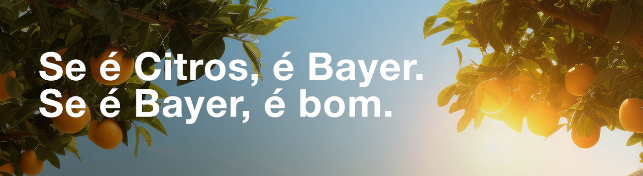 Dois pomares de laranja, um à esquerda e outro à direita, com a frase ‘Se é Citros, é Bayer. E se é Bayer, é bom’ centralizada entre eles.