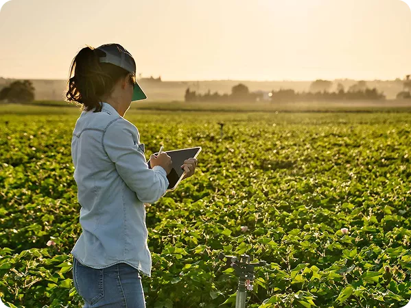 Clientes da plataforma FieldView poderão usar a produtividade de suas fazendas no cálculo do barter. Em projeto piloto, poder de compra do agricultor subiu 25%