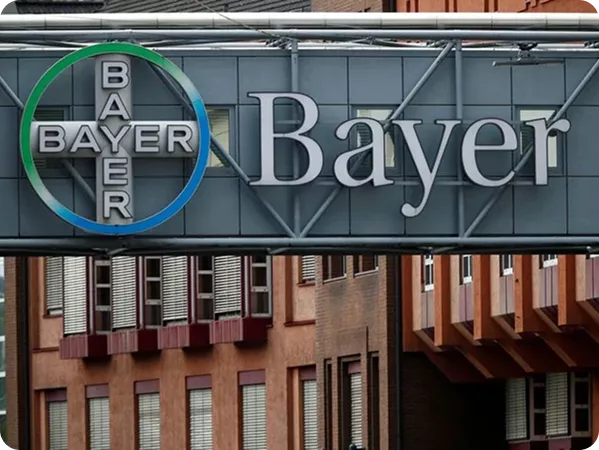 bayer