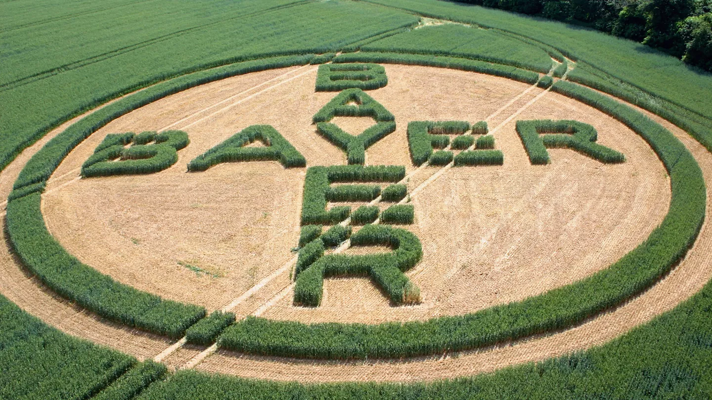 Proper Planning for Potato Planting
