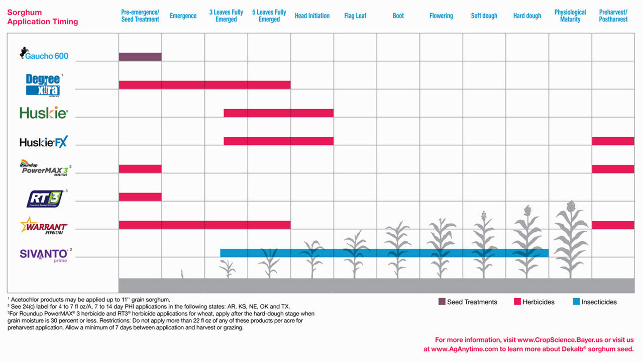 Table outlining which Bayer products are most effective throughout the various growth stages of sorghum season