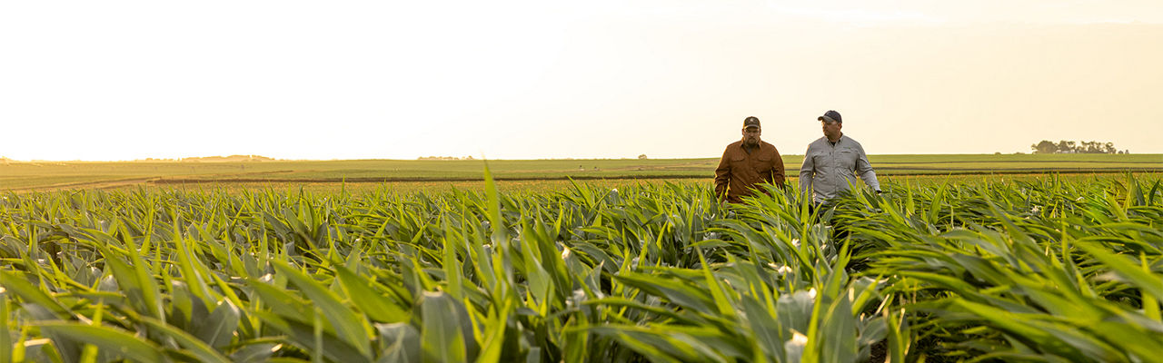 Two seedsmen walking on a field