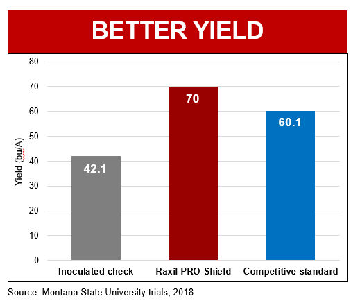 A bar graph showing Raxil PRO Shield provides the highest yield, outperforming Inoculated check and Competitive standard