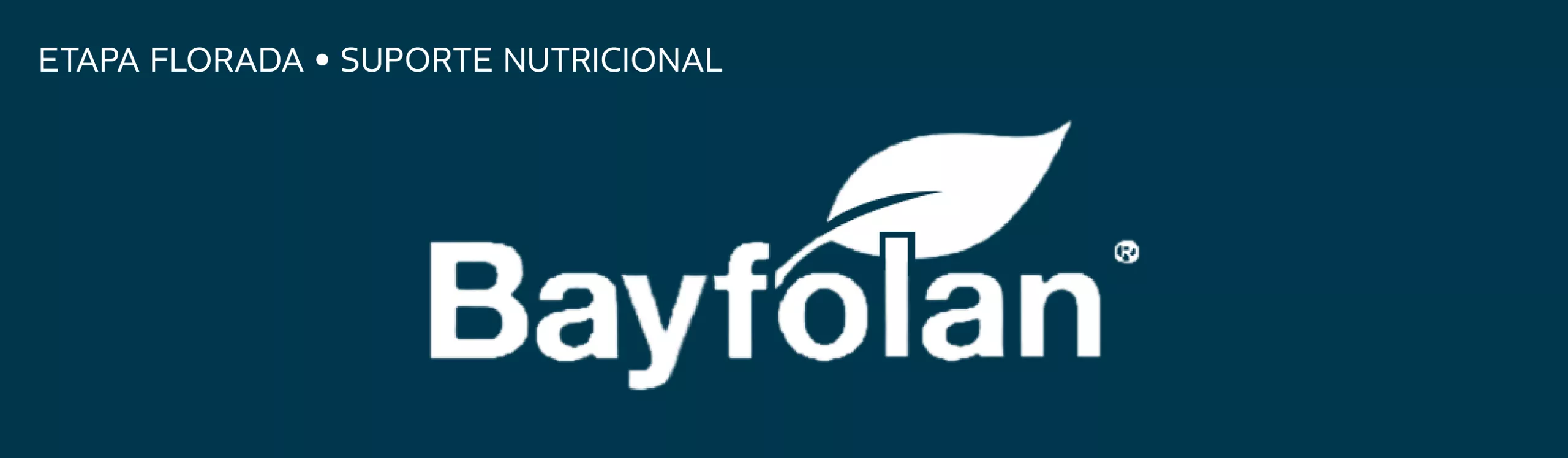 logo de bayfolan cobre