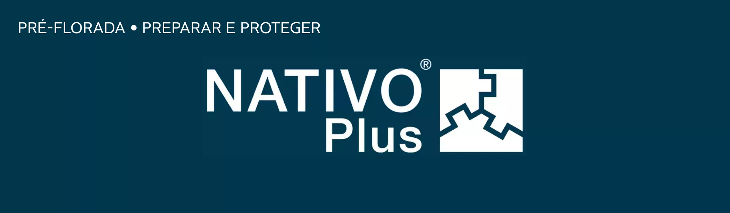 logo nativo