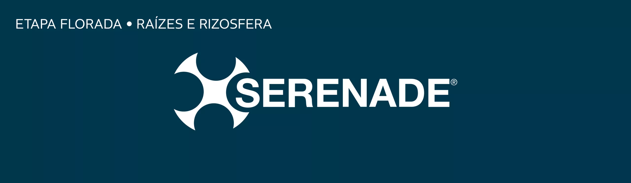 logo de serenade