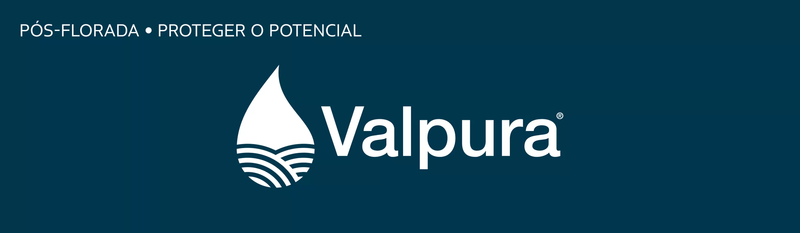 logo de valpura