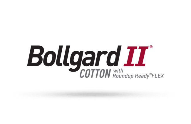 Roundup Ready Flex Cotton Logo - Corn States