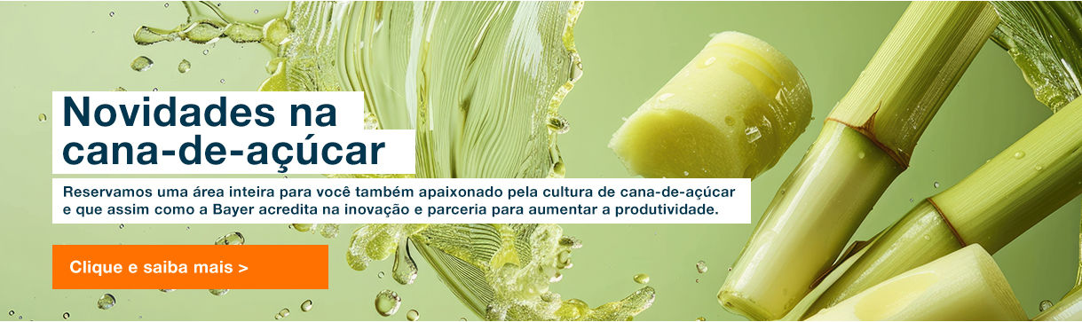 Pedaços de cana-de-açúcar com gotas de líquido em fundo verde, acompanhados do texto “Novidades na Cana-de-Açúcar” e botão laranja com chamada para saber mais.