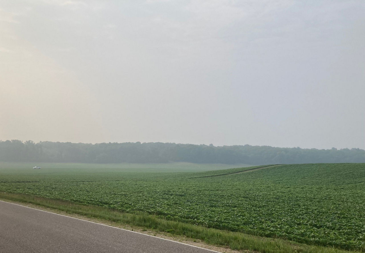 Canadian wildfire smoke appears over a field of soybeans in Pine River, Wisconsin.